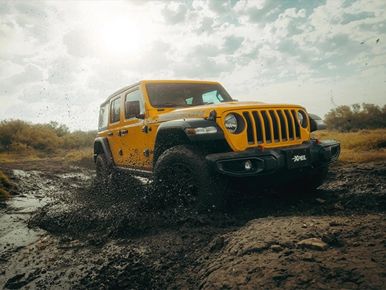 Color Paint Protection Film (2)